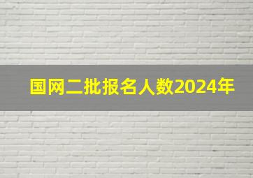 国网二批报名人数2024年