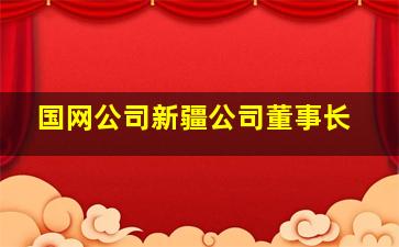 国网公司新疆公司董事长