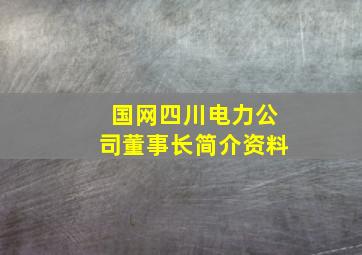 国网四川电力公司董事长简介资料