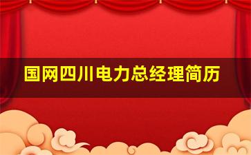 国网四川电力总经理简历