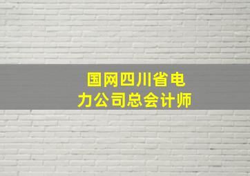 国网四川省电力公司总会计师