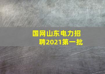 国网山东电力招聘2021第一批