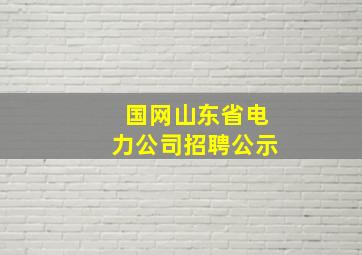 国网山东省电力公司招聘公示