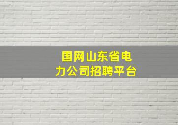 国网山东省电力公司招聘平台