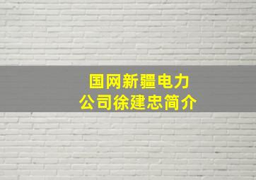 国网新疆电力公司徐建忠简介