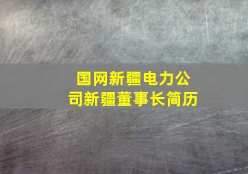 国网新疆电力公司新疆董事长简历