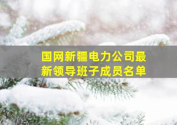 国网新疆电力公司最新领导班子成员名单