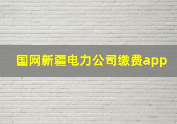 国网新疆电力公司缴费app