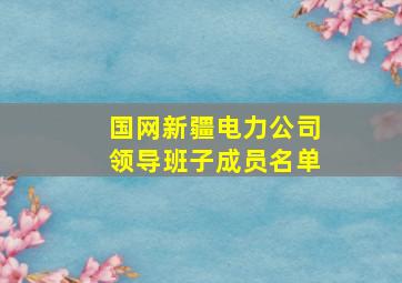 国网新疆电力公司领导班子成员名单