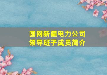 国网新疆电力公司领导班子成员简介