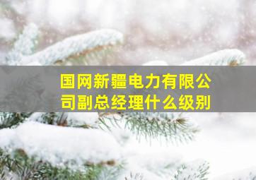 国网新疆电力有限公司副总经理什么级别