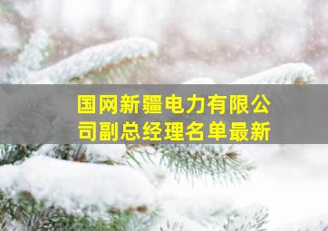 国网新疆电力有限公司副总经理名单最新