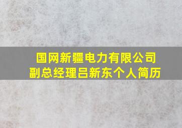 国网新疆电力有限公司副总经理吕新东个人简历