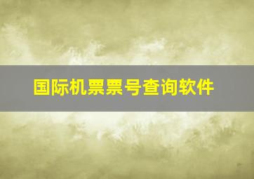 国际机票票号查询软件