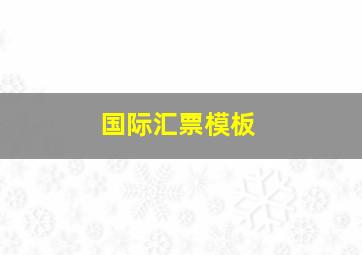 国际汇票模板