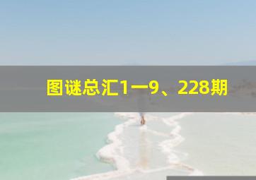 图谜总汇1一9、228期