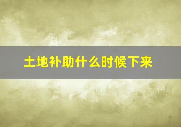 土地补助什么时候下来