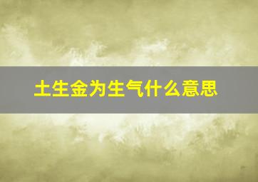 土生金为生气什么意思