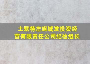 土默特左旗城发投资经营有限责任公司纪检组长