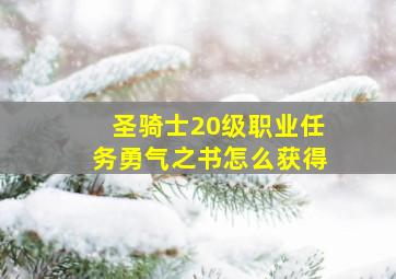 圣骑士20级职业任务勇气之书怎么获得