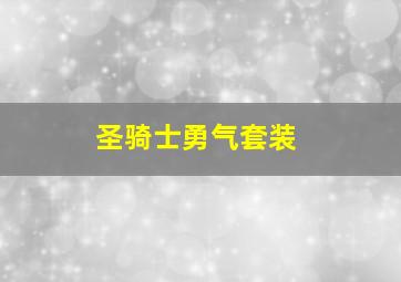 圣骑士勇气套装