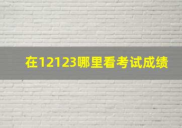 在12123哪里看考试成绩