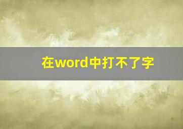 在word中打不了字