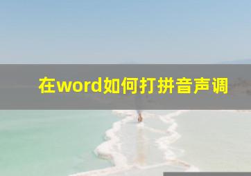 在word如何打拼音声调