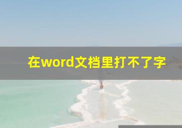 在word文档里打不了字