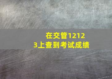 在交管12123上查到考试成绩