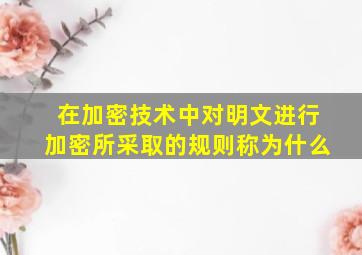 在加密技术中对明文进行加密所采取的规则称为什么