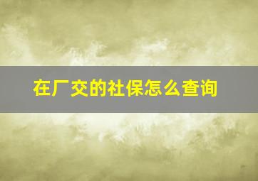 在厂交的社保怎么查询