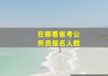 在哪看省考公务员报名人数