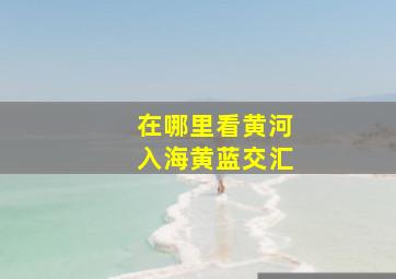 在哪里看黄河入海黄蓝交汇