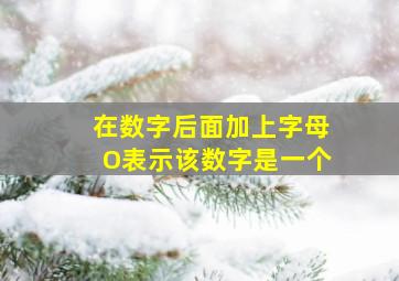 在数字后面加上字母O表示该数字是一个