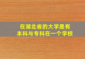 在湖北省的大学是有本科与专科在一个学校