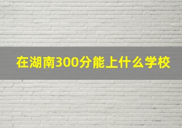 在湖南300分能上什么学校