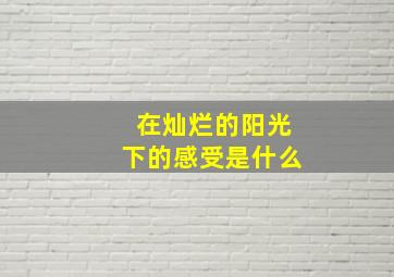 在灿烂的阳光下的感受是什么