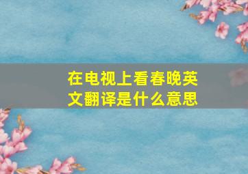 在电视上看春晚英文翻译是什么意思