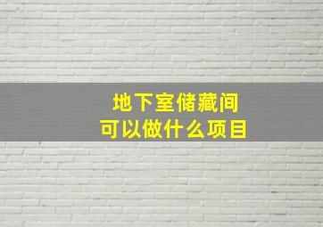 地下室储藏间可以做什么项目