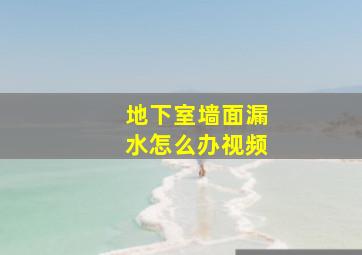 地下室墙面漏水怎么办视频