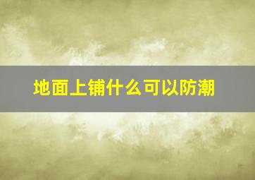 地面上铺什么可以防潮