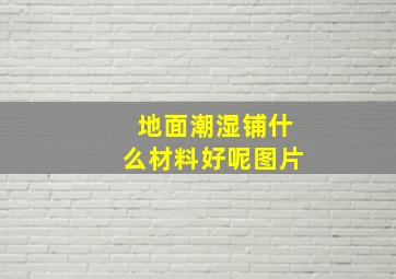 地面潮湿铺什么材料好呢图片