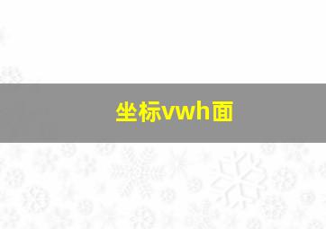 坐标vwh面