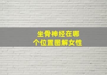 坐骨神经在哪个位置图解女性