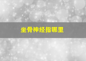 坐骨神经指哪里