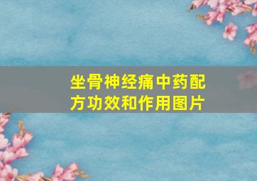 坐骨神经痛中药配方功效和作用图片