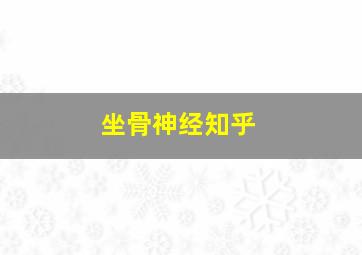 坐骨神经知乎