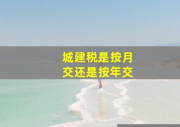 城建税是按月交还是按年交