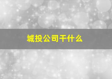 城投公司干什么